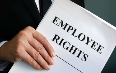 Employment Rights Bill 2024-25